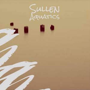 Sullen Aquatics