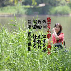 骑着毛驴走西东