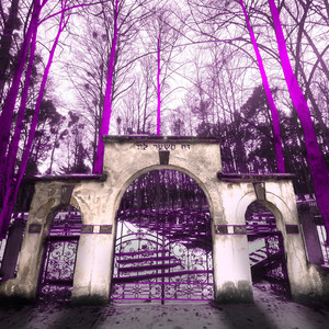 Prawdziwe uczucia 3 (Explicit)