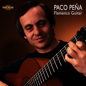 Flamenco Guitar