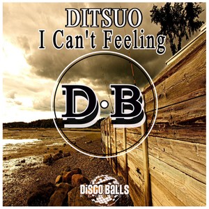 I Can't Feeling (Original Mix)