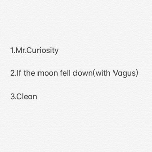 If the moon fell down