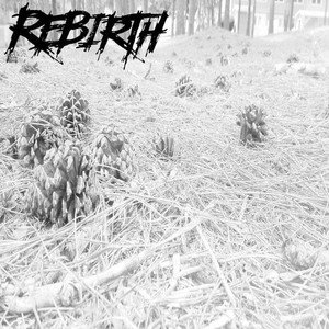 Rebirth Self​-​Titled Ep