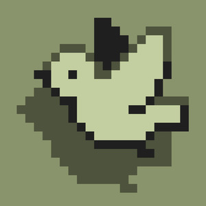 乌鸦飞过整片黑夜