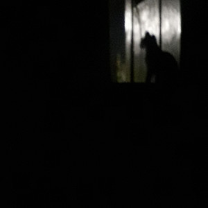 Panas Y Tragos (Explicit)