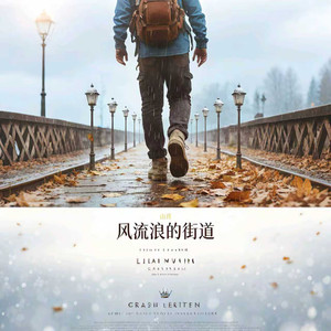 风流浪的街道封面