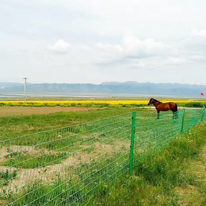 这是我故乡的草原 (钢琴演奏版)