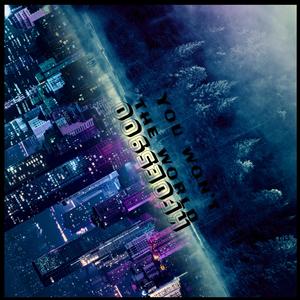 Wont the world (Explicit)