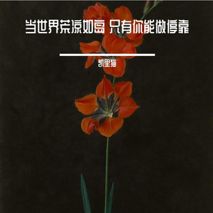 当世界荒凉如岛 只有你能做停靠