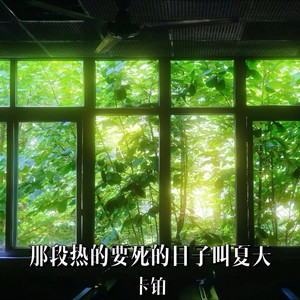 那段热的要死的日子叫夏天