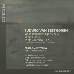 Sonata in A Major, Op. 69 - I. Allegro ma non tanto