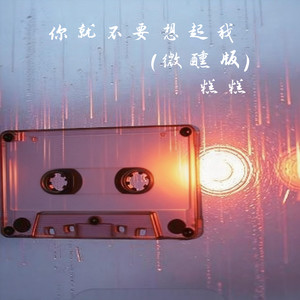 你就不要想起我 (微醺版)