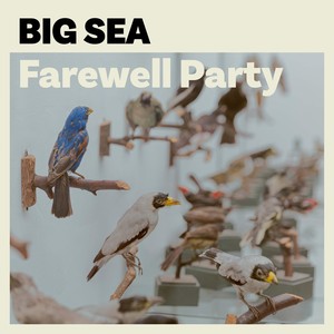 Farewell Party