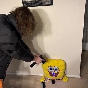 CARRYING CASE (Explicit)