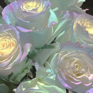 如果你把我灌醉 (DJ版)