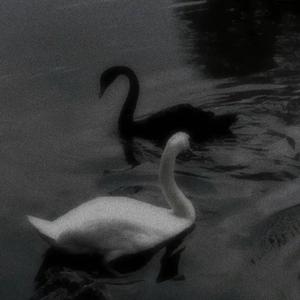 I WONT LIE TO YOU (Explicit)