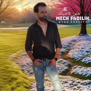 Mech Fadilik