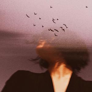 花开花落都有因果