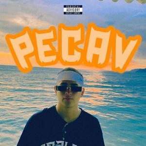 PECAV (feat. Prob.LEM) (Explicit)
