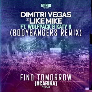 Find Tomorrow(Ocarina) (Bodybangers Remix)