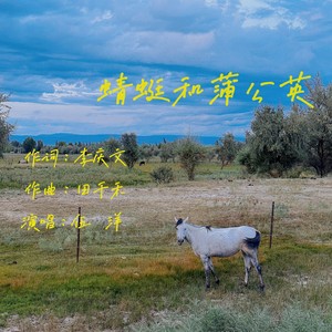 蜻蜓和蒲公英 (伴奏)