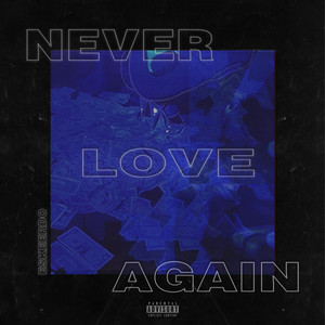 Never Love Again (Explicit)