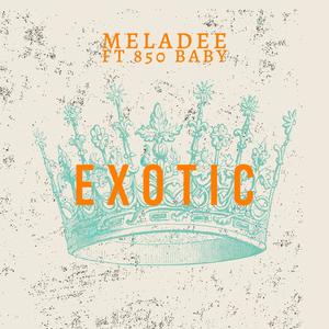 Exotic (feat. 850 Baby) [Explicit]