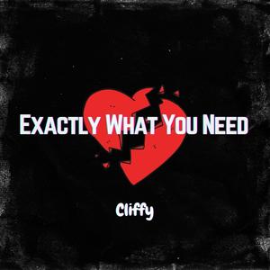 Exactly What You Need (Explicit)