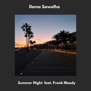 Summer Night (feat. Frank Moody)