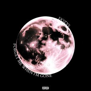 Forget me when I'm gone (Explicit)