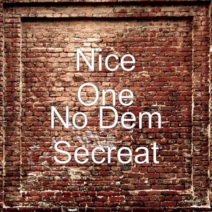 No Dem Secreat