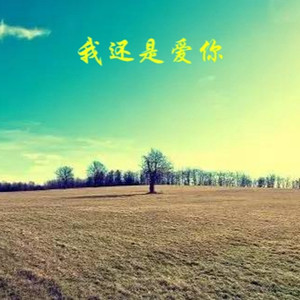 我没有感觉 (DJ版)