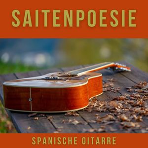 Saitenpoesie: Instrumentale Gitarrenmusik