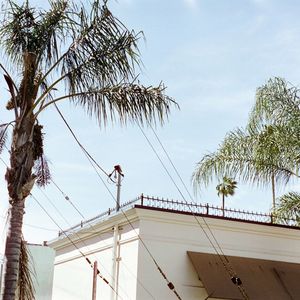 in the morning (Explicit)