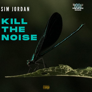 Kill The Noise (Explicit)