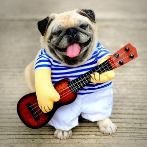 Lizzy Lectric's Origin