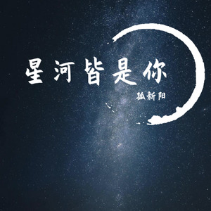 星河皆是你