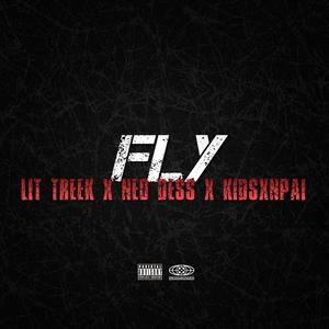 FLY (feat. KidSxnpai & Neo Dess) (Explicit)