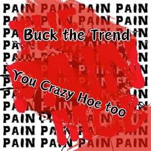 You Crazy Hoe Too (Explicit)
