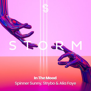 In The Mood (Extended Mix)