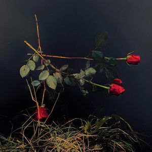 Nekem nem elég (Explicit)