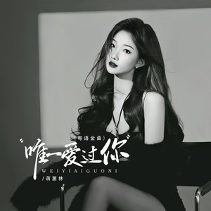 唯一爱过你（粤语金曲）
