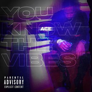 You Know The Vibes (Explicit)