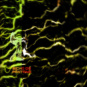 Bicho Do Pantano (Explicit)