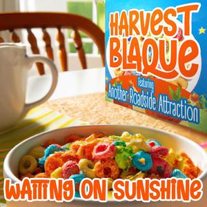 Waiting on Sunshine (feat. Another Roadside Attraction) [Radio Edit]