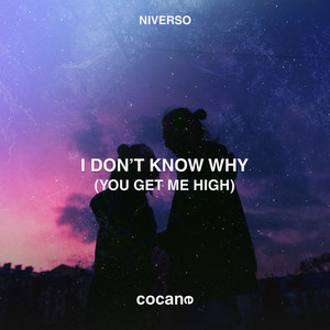 I Don't Know Why (You Get Me High) (Slowed|Reverb)