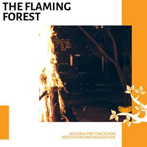 The Flaming Forest - Natural Fire Tracks for Meditation and Relaxation