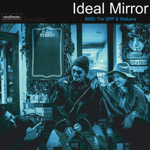 Ideal Mirror