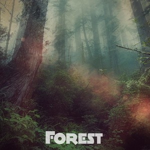 forest（Bootleg）