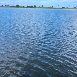 Get The Bait (Explicit)